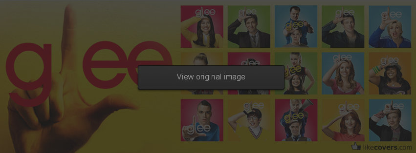 Glee tv show all cast Facebook Covers